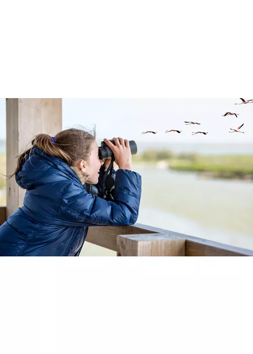 Seguendo il fiume Po: un paradiso per il birdwatching in Lombardia