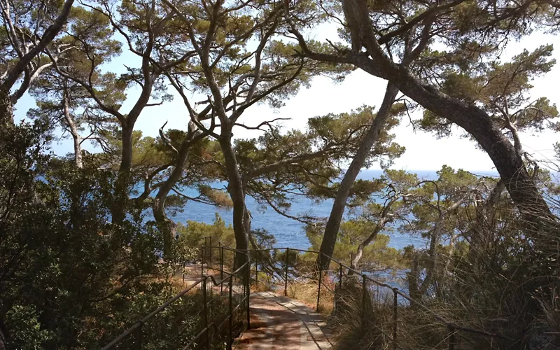 Sendero a lo largo de la costa