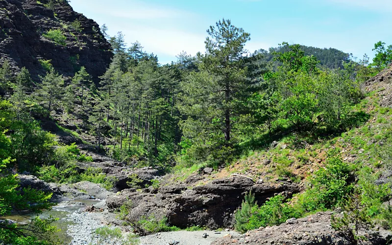 The natural trail along the canyon