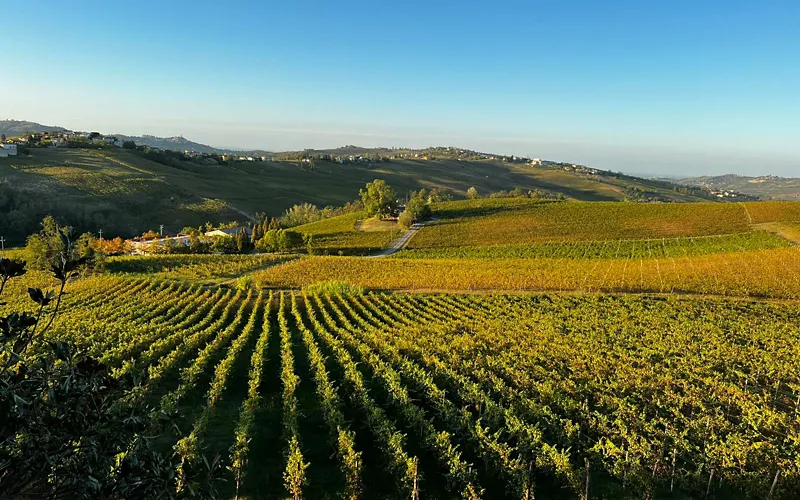 Enotour in Lombardia: vini e casoncelli 