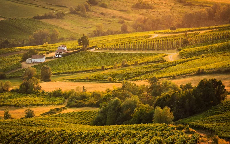 Le tour de la Lombardie dans un verre. Principaux domaines et vins