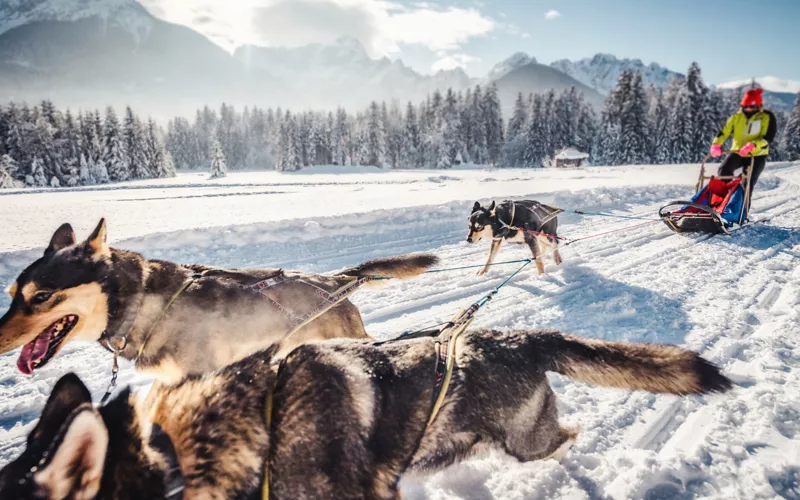 Trineos tirados por perros en Italia