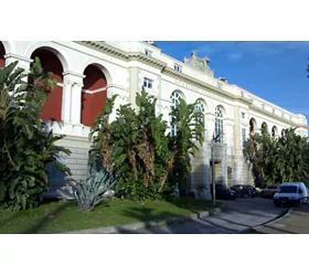 Anton Dohrns’ Zoological Station, aquarium of our seas