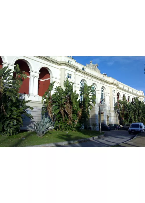 Anton Dohrn Zoological Station, the aquarium of Mare Nostrum