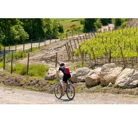 1600X1000_sterrati_strade_bianche_cardina_1.jpg