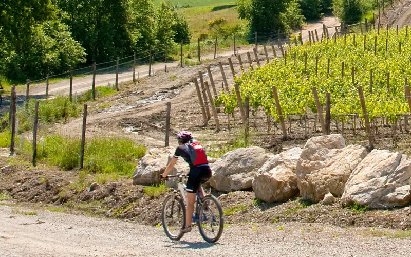 1600X1000_sterrati_strade_bianche_cardina_1.jpg