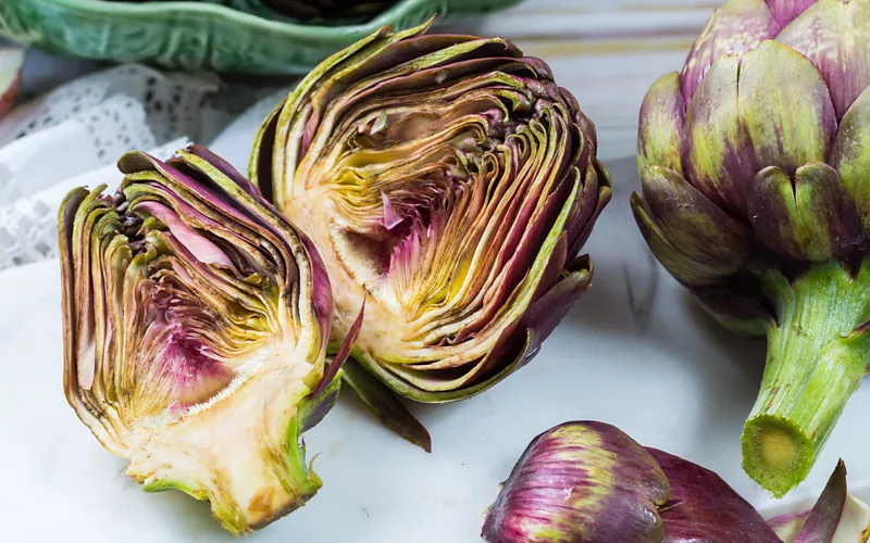 The long history of the Roman artichoke and its therapeutic properties