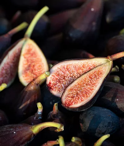storia del figo moro friuli venezia giulia 