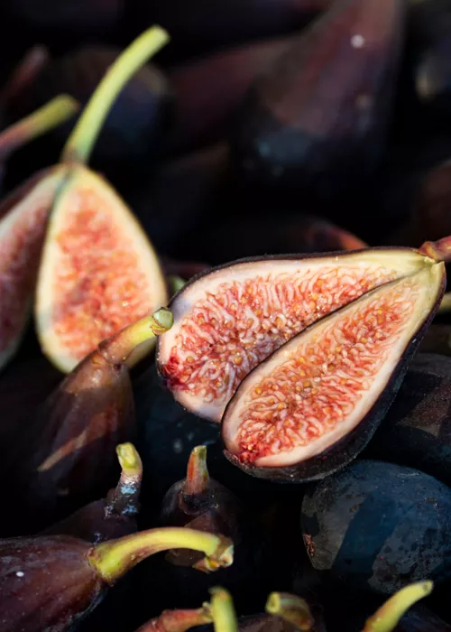 storia del figo moro friuli venezia giulia 