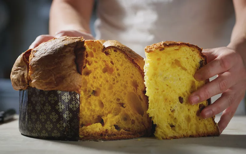 Pandoro or Panettone