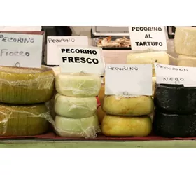 historia del queso pecorino sardo