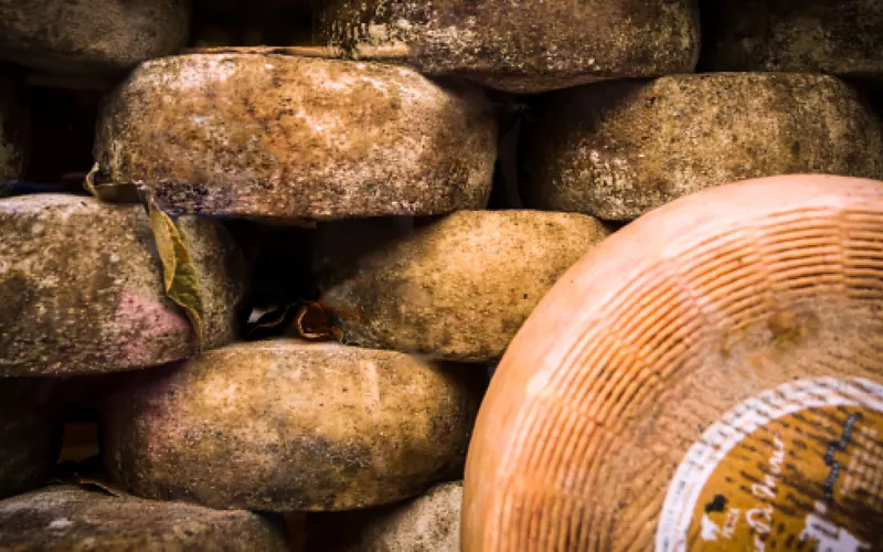 historia del queso pecorino toscano