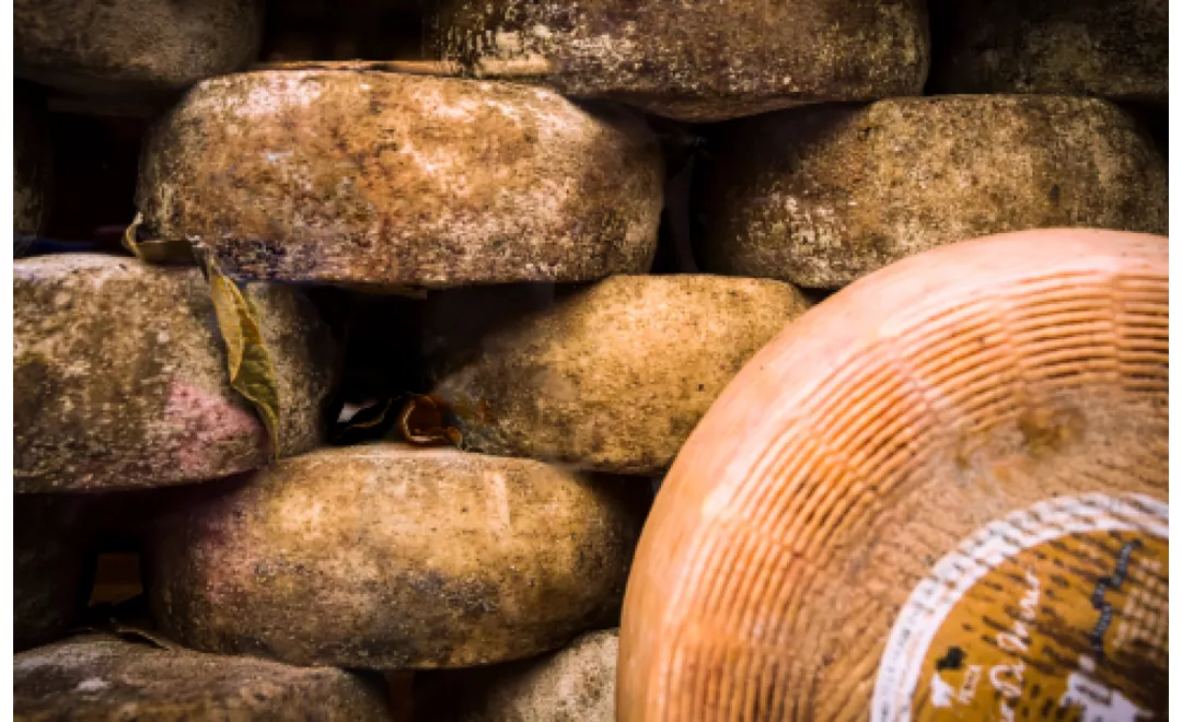 storia del pecorino toscana