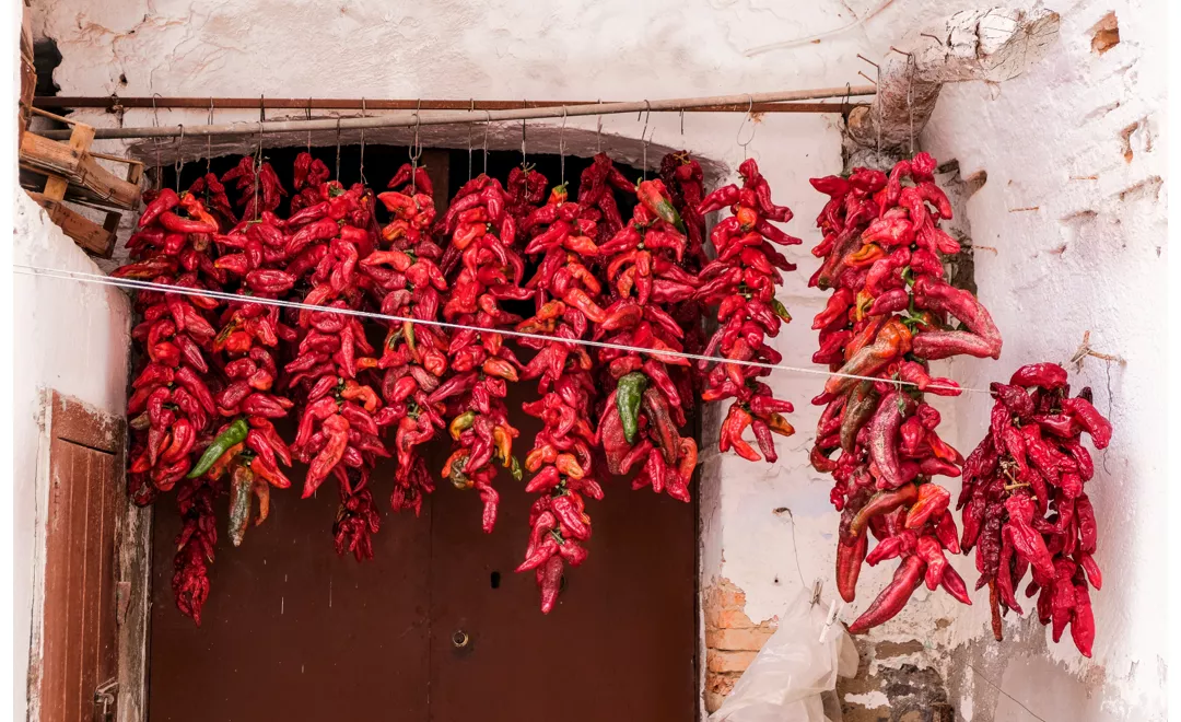 history of the crusco pepper