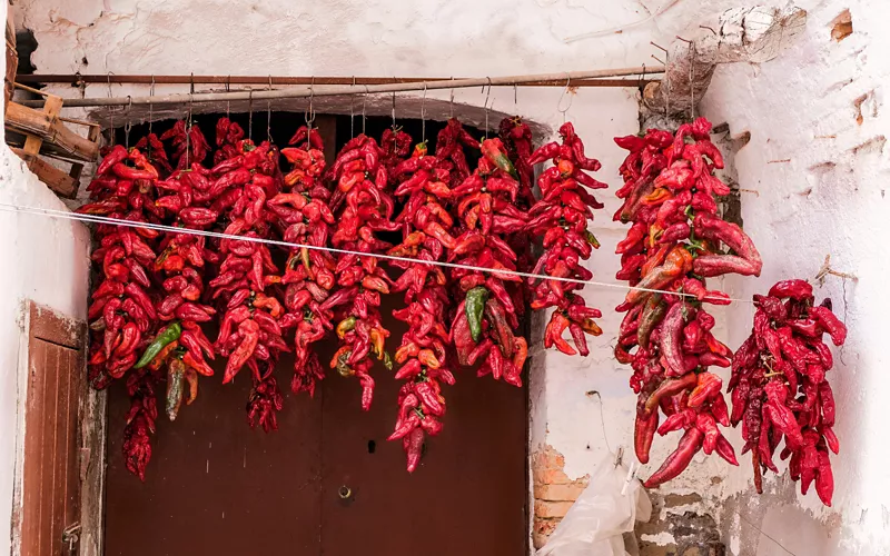 history of the crusco pepper