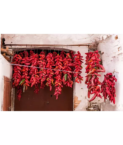 storia del peperone crusco