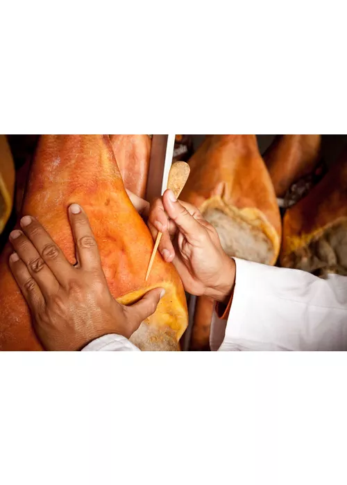 history of parma ham emilia romagna