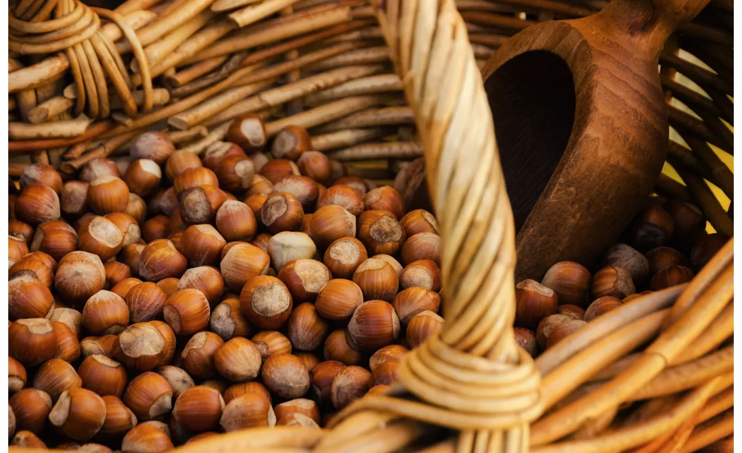 history of hazelnuts