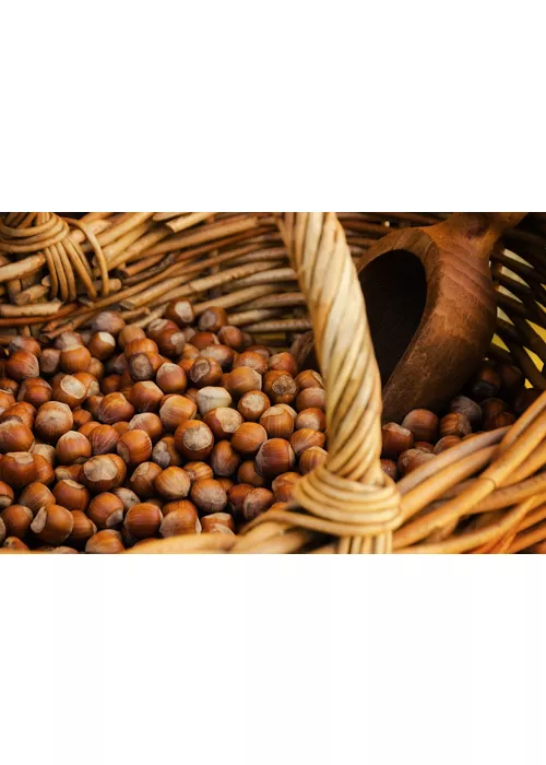 history of hazelnuts