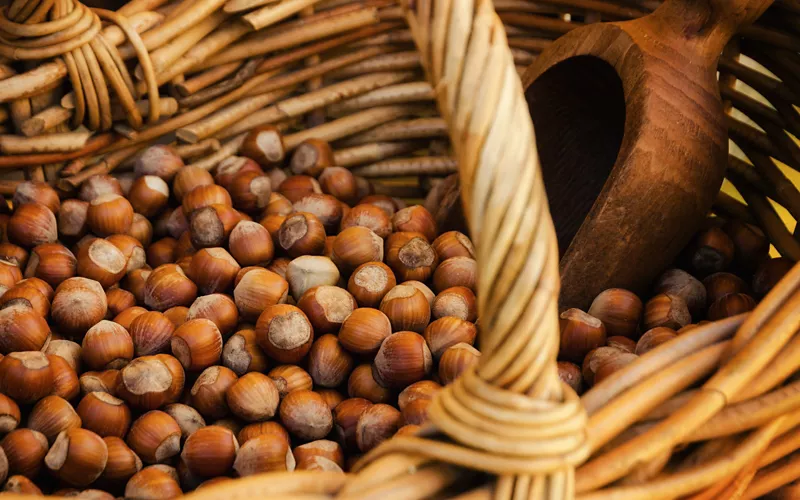 history of hazelnuts