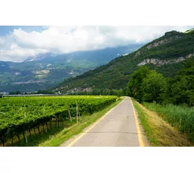 La strada del vino dell’Alto Adige