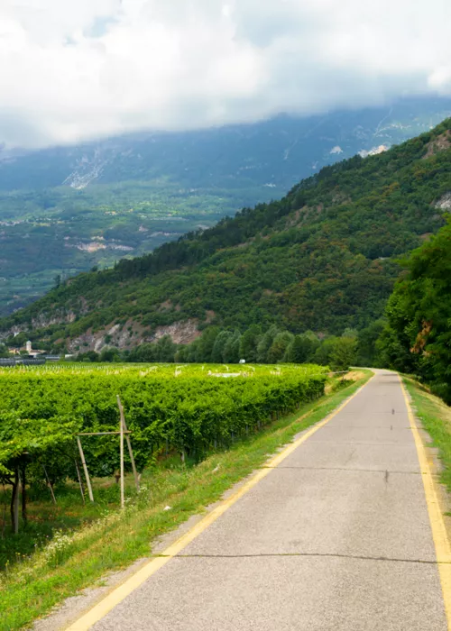 La strada del vino dell’Alto Adige