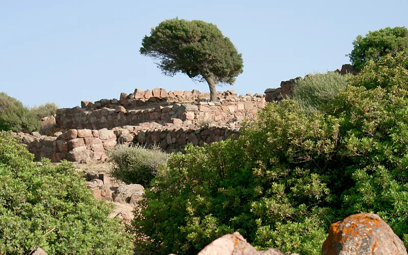 On Monte Sirai, near Carbonia, on ruins from 2,700 years ago