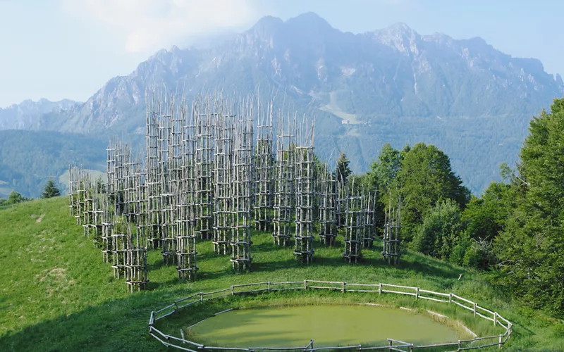 sul pizzo arera la cattedrale vegetale 