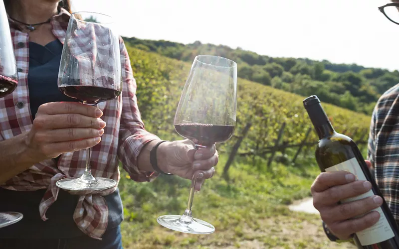 Sulle strade del vino dell’Alto-Adige