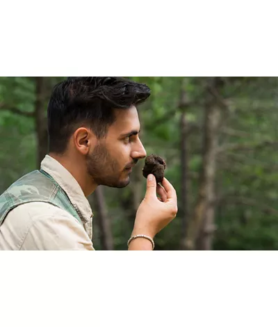 Der Trüffel der Abruzzen, der ewig geliebte schwarze Diamant