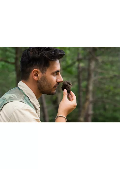 La truffe des Abruzzes, le diamant noir à aimer dès maintenant et pour toujours