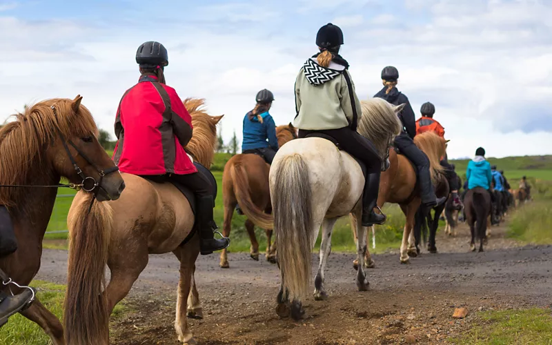 teambuilding a cavallo Milano