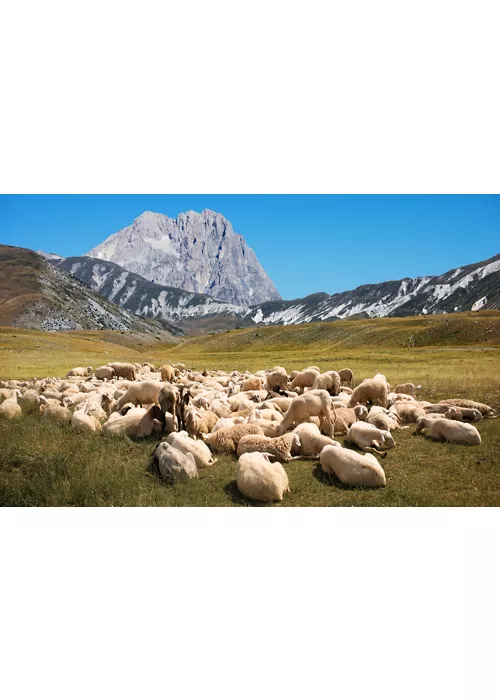 El Gran Sasso y la baronía de Carapelle: pueblos, castillos y delicias locales