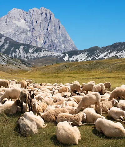 The Gran Sasso and the Barony of Carapelle: villages, castles and local delicacies