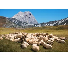Der Gran Sasso und die Baronie von Carapelle: Dörfer, Burgen und lokale Köstlichkeiten