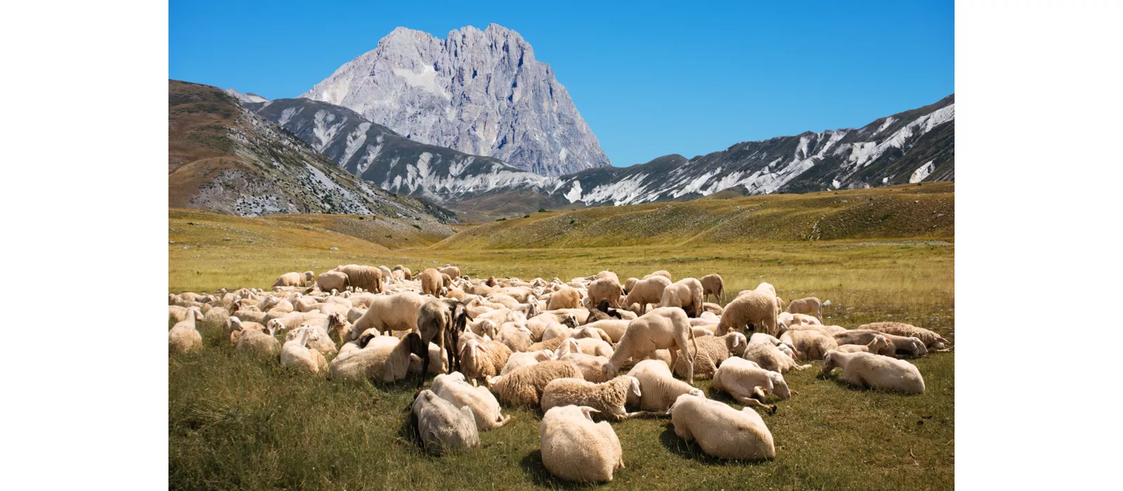 Der Gran Sasso und die Baronie von Carapelle: Dörfer, Burgen und lokale Köstlichkeiten