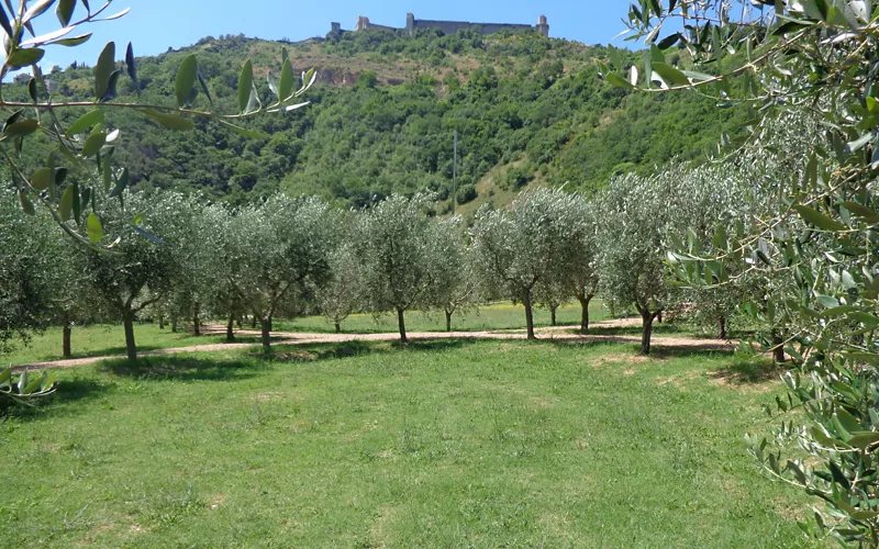 Assisi's Third Paradise, the land art work by Michelangelo Pistoletto