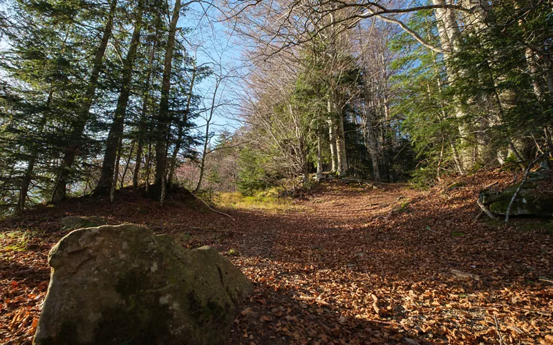 Toscana Abetone Gravity Park