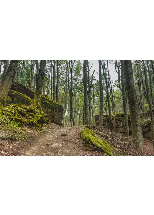De San Marcello Piteglio au Passo del Cancellino