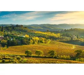 Viaje gourmet a la Toscana para descubrir su biodiversidad