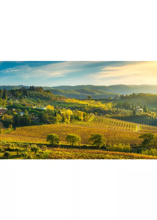 Gourmet trip to Tuscany to discover its biodiversity