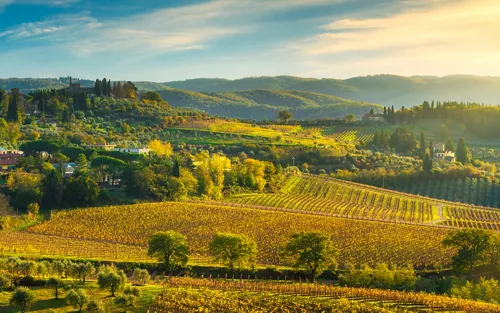 Gourmet trip to Tuscany to discover its biodiversity