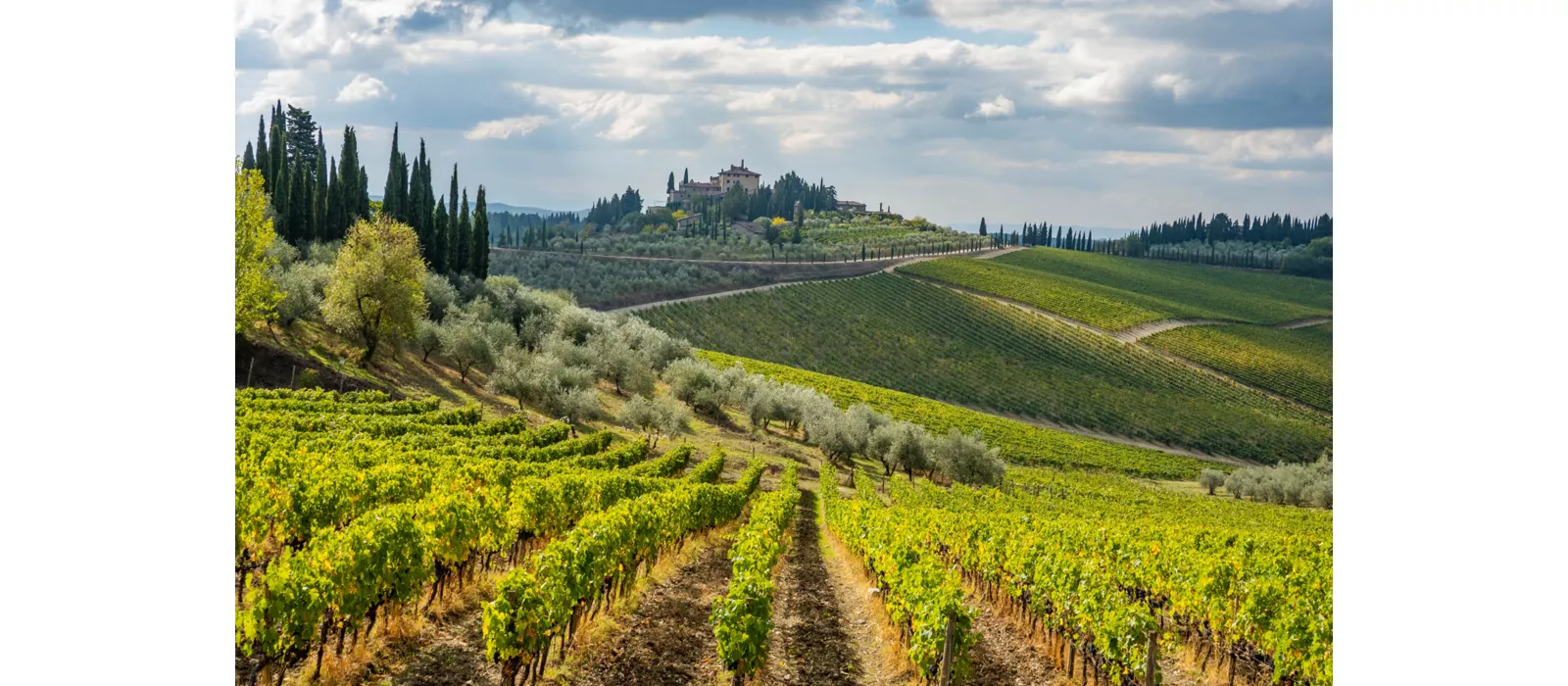 Esplorare il Chianti Classico in bicicletta: un itinerario tra le cantine