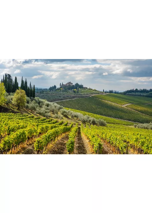 Esplorare il Chianti Classico in bicicletta: un itinerario tra le cantine