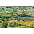 Una full immersion in Toscana in bici, tra Val di Chiana, Val d’Elsa e le Crete Senesi