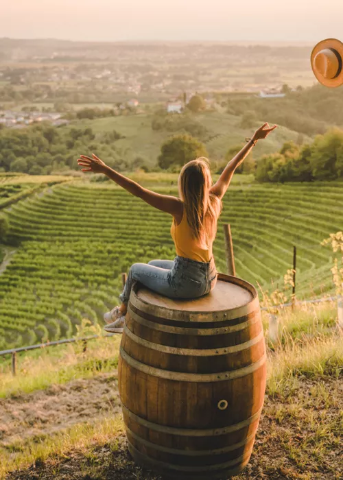 Touring Friuli Venezia Giulia's most beautiful vineyards and luxury resorts: luxury, relaxation and taste