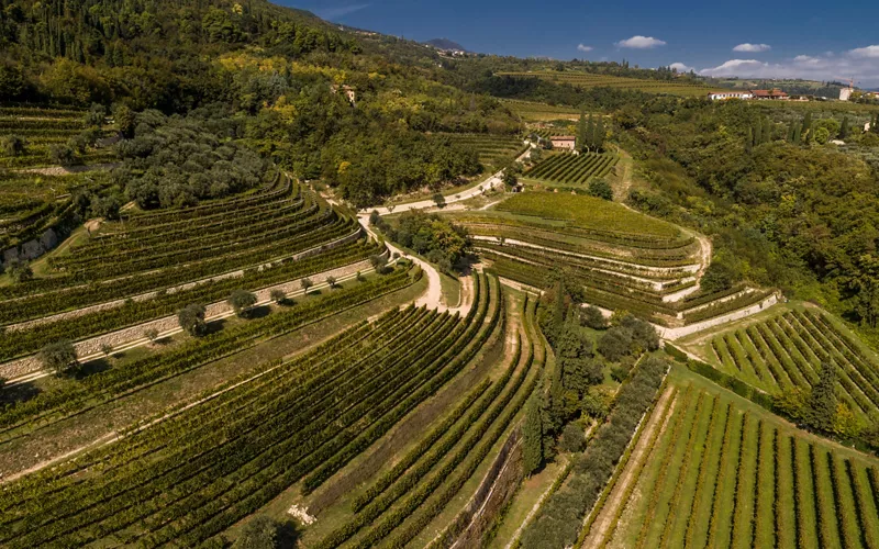 «Le Donne del Vino» y la cultura enogastronómica