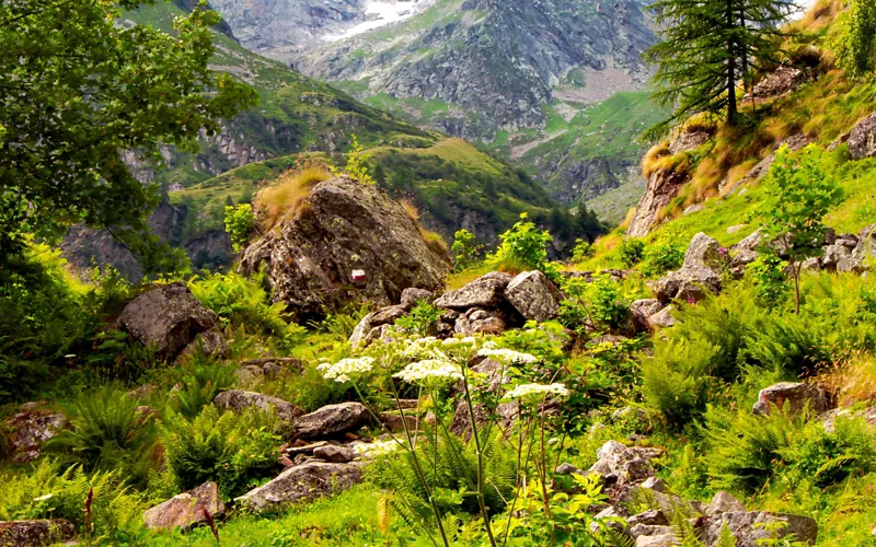 Las tradiciones de Alagna: el pueblo Walser