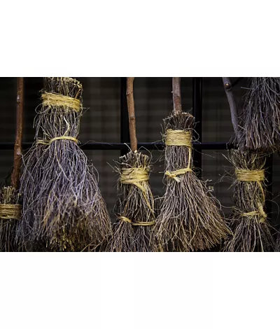tradiciones y eventos para los befana