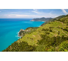 Panoramica sui vigneti in Liguria